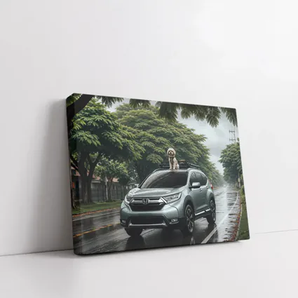 Honda CR-V SUV With Dog Rainy Street