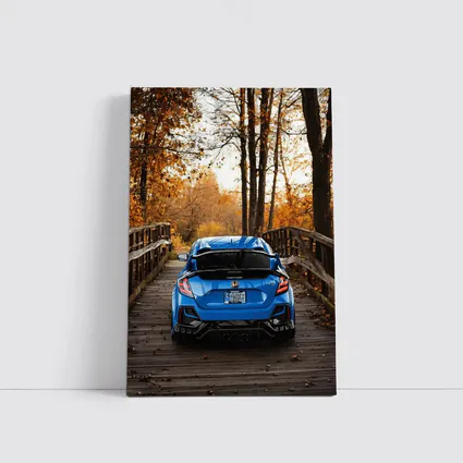 Honda Civic Type R Blue Autumn Park
