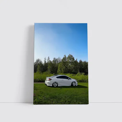 Honda Civic Coupe Slammed White Nature Setting