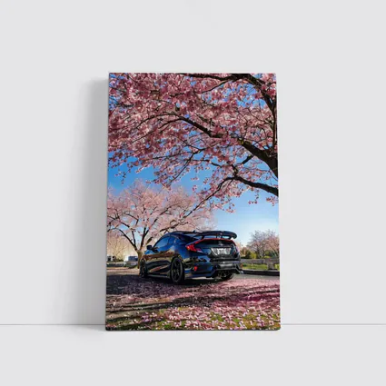 Black Honda Civic Under Cherry Blossom Trees