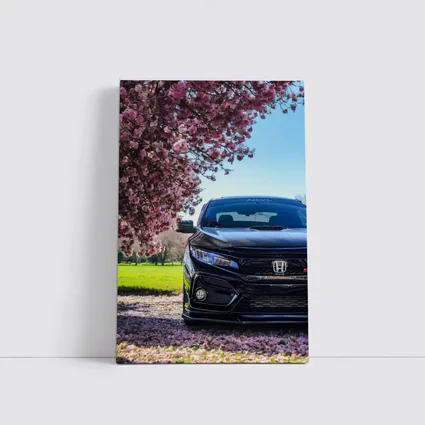 Black Honda Civic Under Cherry Blossom Tree
