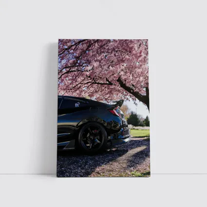 Black Honda Civic Under Cherry Blossom Tree