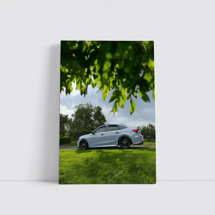 Honda Civic Silver Sedan Green Park Setting