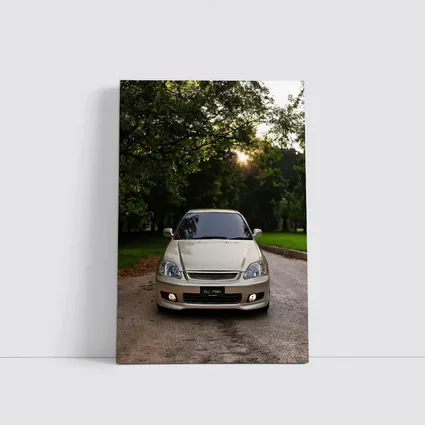 Honda Civic Parked Under Green Trees