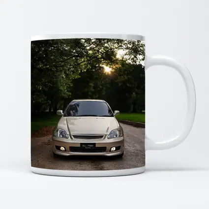 Honda Civic Parked Under Green Trees