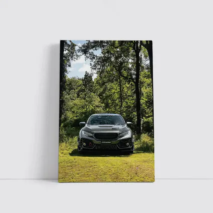 Honda Civic Type R Green Forest Setting