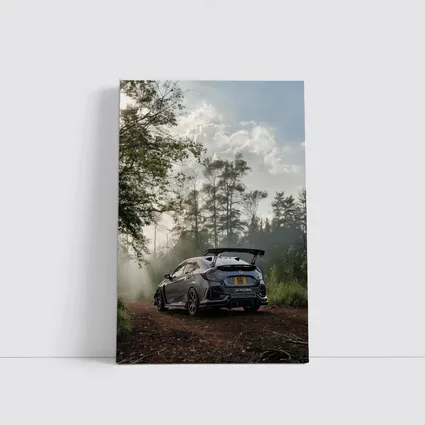 Honda Civic Type R Misty Forest Trail