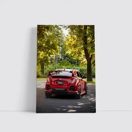 Red Honda Civic Type R Park Setting