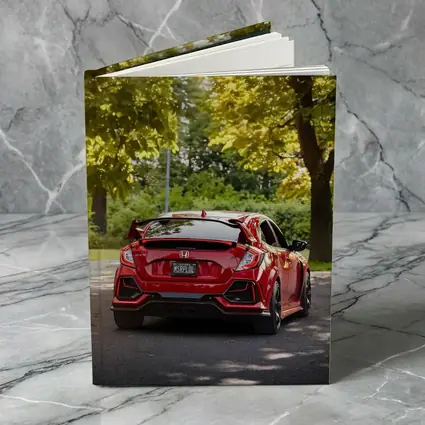 Red Honda Civic Type R Park Setting