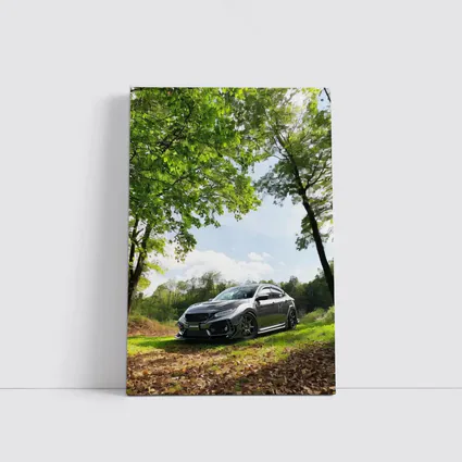 Honda Civic Dark Gray Forest Park Setting