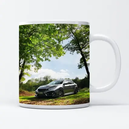Honda Civic Dark Gray Forest Park Setting