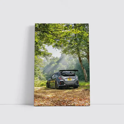 Honda Civic Type R Forest Road Scene