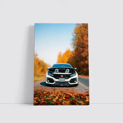 Honda Civic Type R Twin Turbo Autumn Road