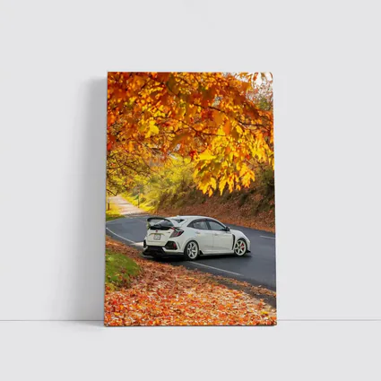 Honda Civic Type R White Autumn Road