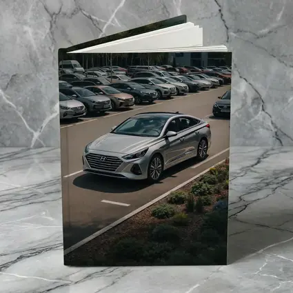 Hyundai Sonata Silver Sedan Parking Lot
