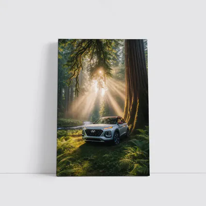 Hyundai Venue SUV in Sunlit Forest