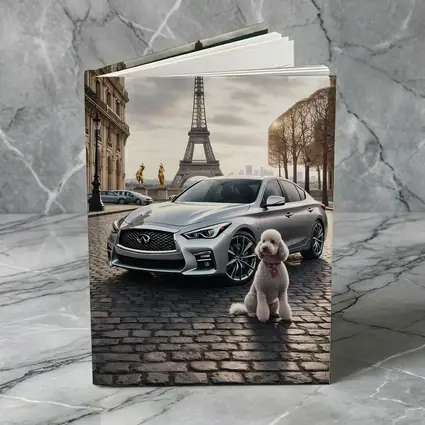 Infiniti Q50 Poodle Paris Eiffel Tower