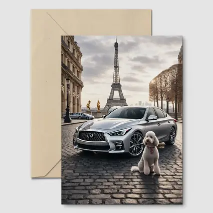 Infiniti Q50 Poodle Paris Eiffel Tower
