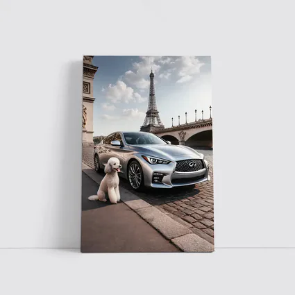 Infiniti Q50 Poodle Eiffel Tower Paris