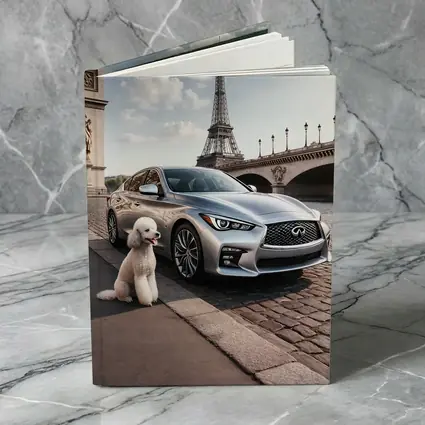 Infiniti Q50 Poodle Eiffel Tower Paris