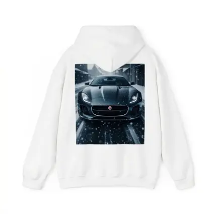 Jaguar F Type Dark Snow Street Scene