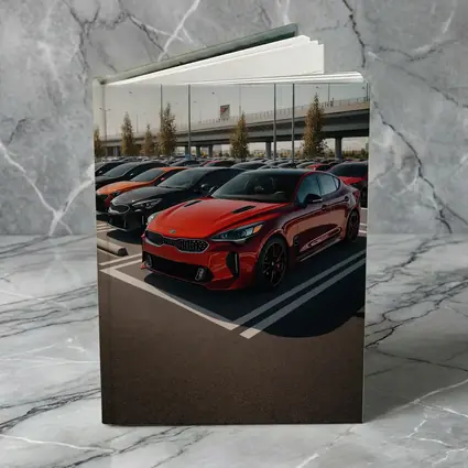 Kia Stinger Red Fleet Parking Lot