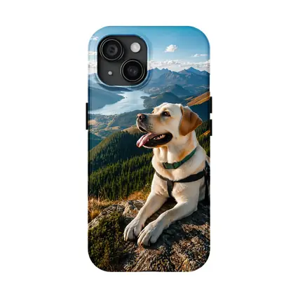 Labrador Retriever Resting on Mountain Summit