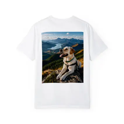 Labrador Retriever Resting on Mountain Summit