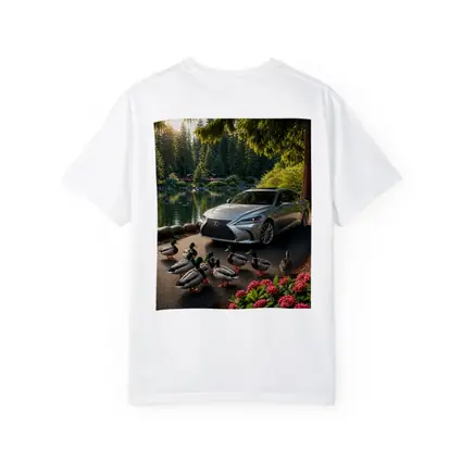 Lexus LS Silver Sedan Lake Forest Ducks