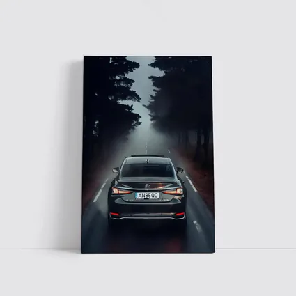 Lexus ES Rear View Foggy Forest Road
