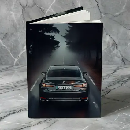 Lexus ES Rear View Foggy Forest Road