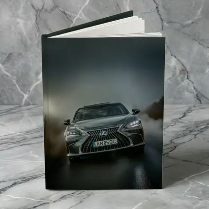 Lexus ES Front View Foggy Road