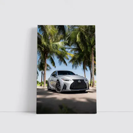 Lexus IS Silver Sedan Under Palm Trees