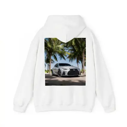 Lexus IS Silver Sedan Under Palm Trees