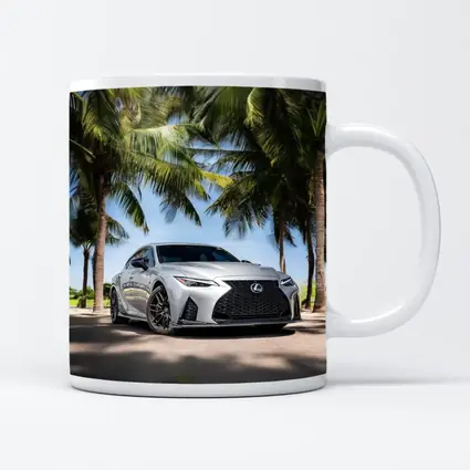 Lexus IS Silver Sedan Under Palm Trees
