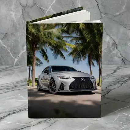 Lexus IS Silver Sedan Under Palm Trees