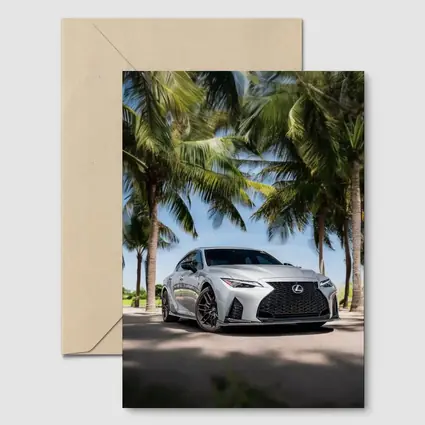 Lexus IS Silver Sedan Under Palm Trees