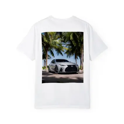 Lexus IS Silver Sedan Under Palm Trees