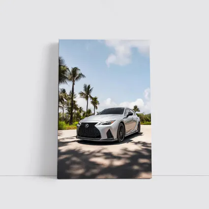 Lexus IS Silver Sports Sedan Palm Trees