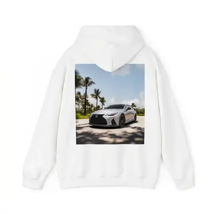 Lexus IS Silver Sports Sedan Palm Trees