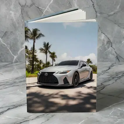 Lexus IS Silver Sports Sedan Palm Trees
