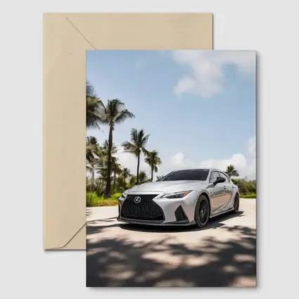 Lexus IS Silver Sports Sedan Palm Trees