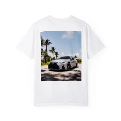 Lexus IS Silver Sports Sedan Palm Trees