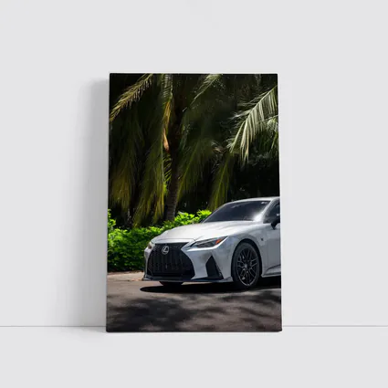 Lexus IS 500 Parked Under Tropical Palms