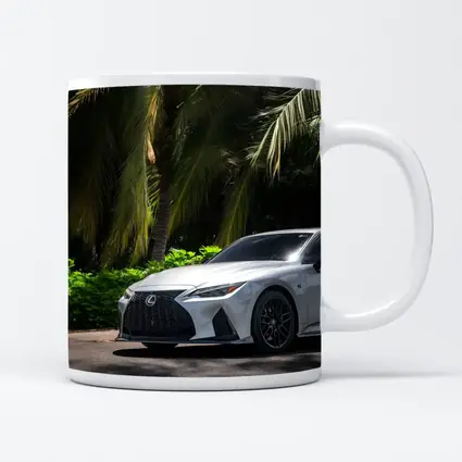 Lexus IS 500 Parked Under Tropical Palms