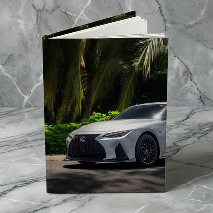 Lexus IS 500 Parked Under Tropical Palms