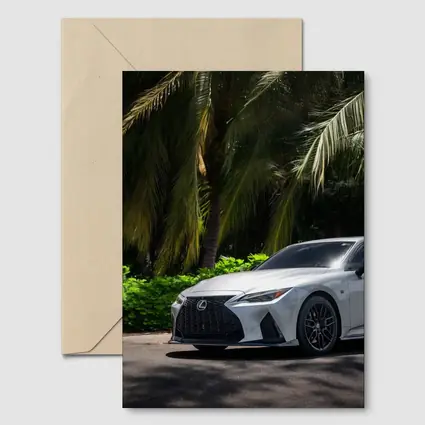 Lexus IS 500 Parked Under Tropical Palms