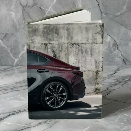 Lexus IS Rear View Against Concrete Wall