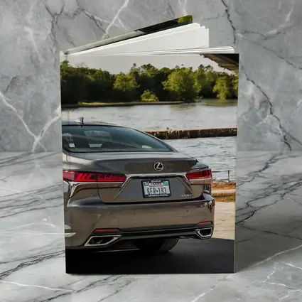 Lexus LS500 Rear View By River