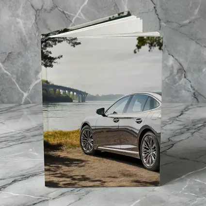 Lexus LS Parked By River Bridge